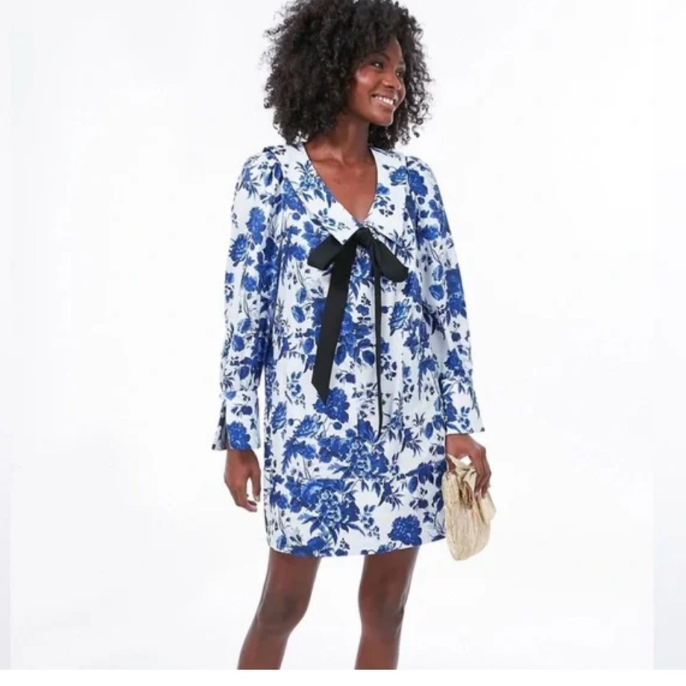 Tuckernuck Blue and White Floral Dress